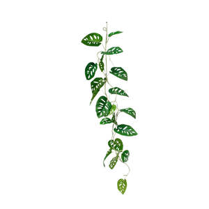 For The Beach Bum: Swiss Cheese Garland 1.2m | Realistic Faux Greenery Vine