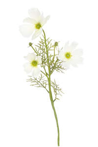 White Faux Cosmos Spray 51cm – Artificial Flower Stem