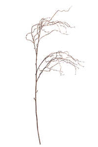 Willow Branch Tall Brown Faux Stem 140cm