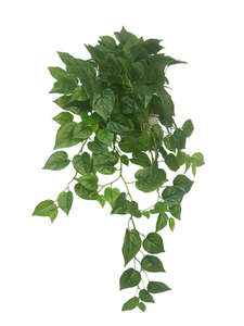 Real Touch Philo Bush | Lifelike Trailing Artificial Plant (93cm)