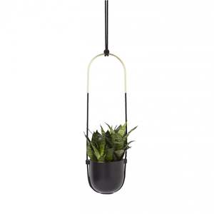 BOLO Hanging Planter Black/Brass Wall or Ceiling Mount by Umbra