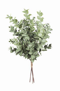 For The Boho Babe: Seeded Eucalyptus Bundle 61cm (3 Stems Tied)