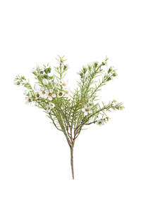 For The Boho Babe: Alba Wax Flower Faux Bush White - 35cm