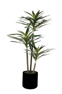For The Boho Babe: Dracaena Arborea 86cm – Faux Plant in Black Pot