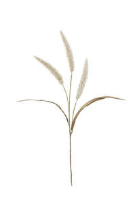 Mothers Day: Fountain Grass Stem 94cm Cream | Faux Floral