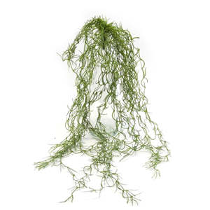 Artificial Spanish Moss – Faux Tillandsia Hanging Plant | 75cm