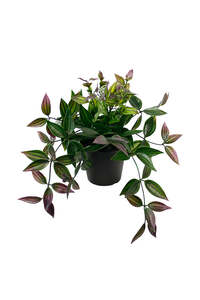 Artificial Flora: Wandering Dew Potted Plant | Green and Purple Faux Houseplant
