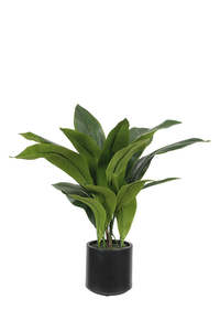 Artificial Flora: Aspidistra Plant in Decor Pot 76cm (22 Leaves)