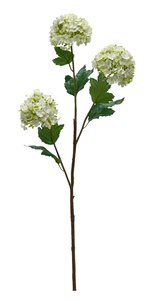 Artificial Flora: Viburnum Stem – White Faux Flower (90cm)