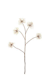 Dried Clematis Seed Head Spray 115cm | Faux Botanical