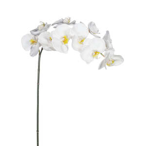 White Phalaenopsis Orchid Stem – Large Faux Bloom with 9 Flowers (95cm)