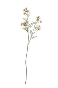 Daisy Artificial Spray - Cream | 89cm
