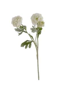 White Ranunculus Stem – Faux Persian Buttercup