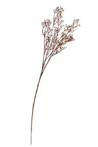 Talinum Spray – 79cm Faux Dried Botanical