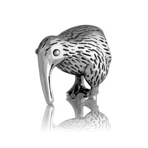 Products: Evolve Kiwi Charm