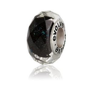 Products: Evolve New Zealand charm