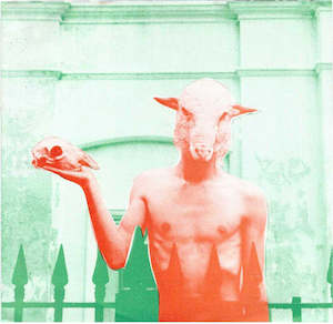 Crystal Zoom: FN030 Crystal Zoom - Uptown Sheep / Dunedin Sound On 45 (1985)