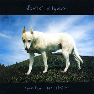 David Kilgour: FN308 David Kilgour - Spiritual Gas Station ‎(1994)