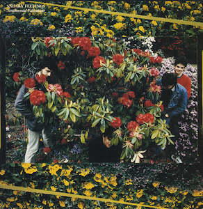 Sneaky Feelings: Sneaky Feelings - Sentimental Education (SECONDHAND)