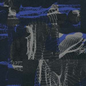 New Zealand Music Bands: Half Hexagon - EP 1 + EP