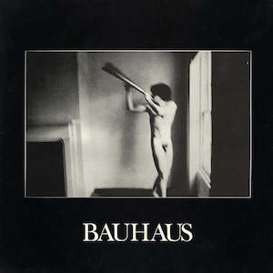 Bauhaus: Bauhaus - In The Flat Field