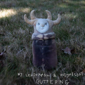 MJ Lenderman & Wednesday - Guttering
