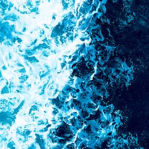 Javanti Chauhan - Allos