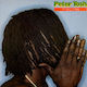 Peter Tosh - Mystic Man