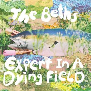 The Beths - Expert in a Dying Field (CD)