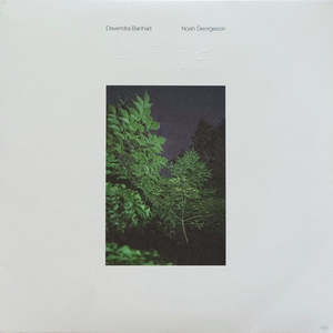 Folk: Devendra Banhart, Noah Georgeson – Refuge (SECONDHAND)