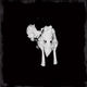 Sigur Rós - Kveikur (SECONDHAND CD)