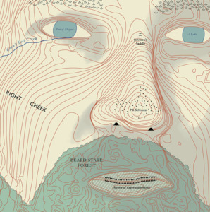 Flying Nun: Lawrence Arabia - Absolute Truth (CD)