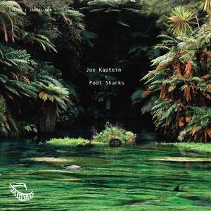 F O Record Club Archive: Pool Sharks (Vinyl LP)