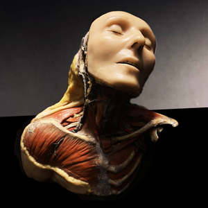 2026 Back To Work Sale: Campechanos (Vinyl LP)