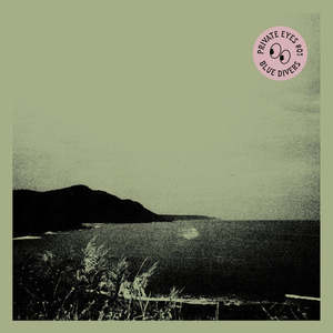 Secondhand 1: Blue Divers (Secondhand Vinyl LP)