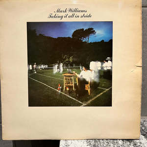 Taking It All In Stride (Secondhand Vinyl LP)