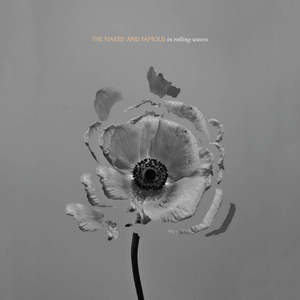 Secondhand Cd: In Rolling Waves (Secondhand CD)