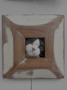 Art: Jackelope Treasures Purfect Frame - Bicolour