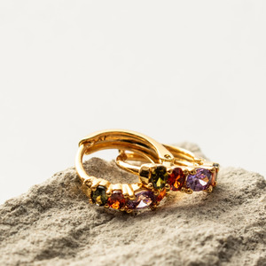 Accessories: Queen of the Foxes Earrings Rainbow Sleeper