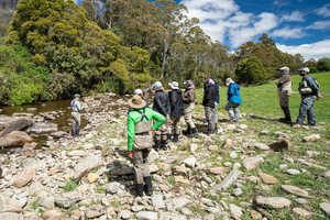 Products: Flylife clinics