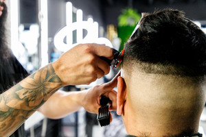 Tecnam P2010 Flight Simulator Tecnam Aircraft