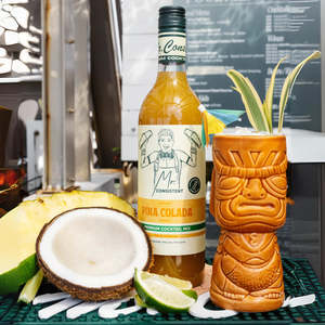 Mr Consistent Pina Colada Mixer
