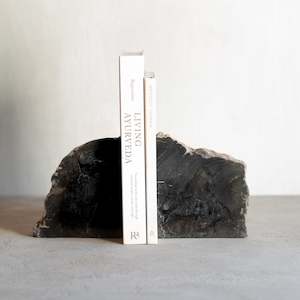 Petrified Wood: Petrified Wood Bookends |  Set (C)