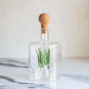 Glass Agave Tequila Decanter