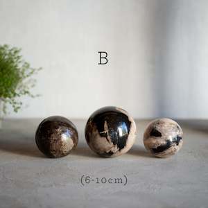 Petrified Wood: Petrified Wood Balls | Set of Three | Mixed Size