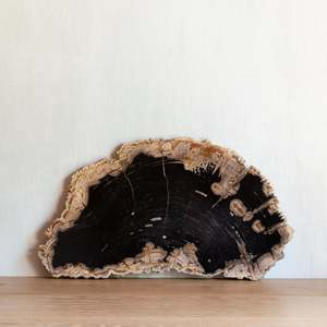 Natural Neutrals: Petrified Wood Slice | Example 'F'