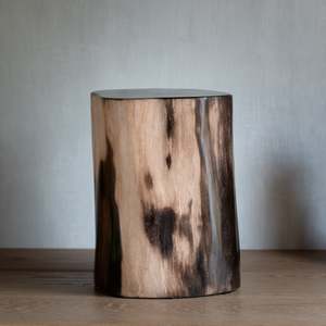 Petrified Wood: Petrified Wood Plinth | Example 'F'