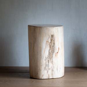 Petrified Wood Plinth | Example 'E'