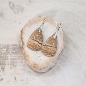 Natural Stone Earrings | Picture Jasper Teardrops