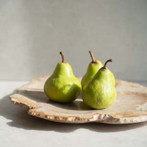 Just Added: Petrified Wood Plate | 'M'